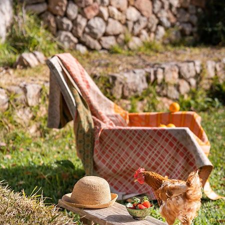 Agroturismo Son Viscos Valldemossa  Bagian luar foto