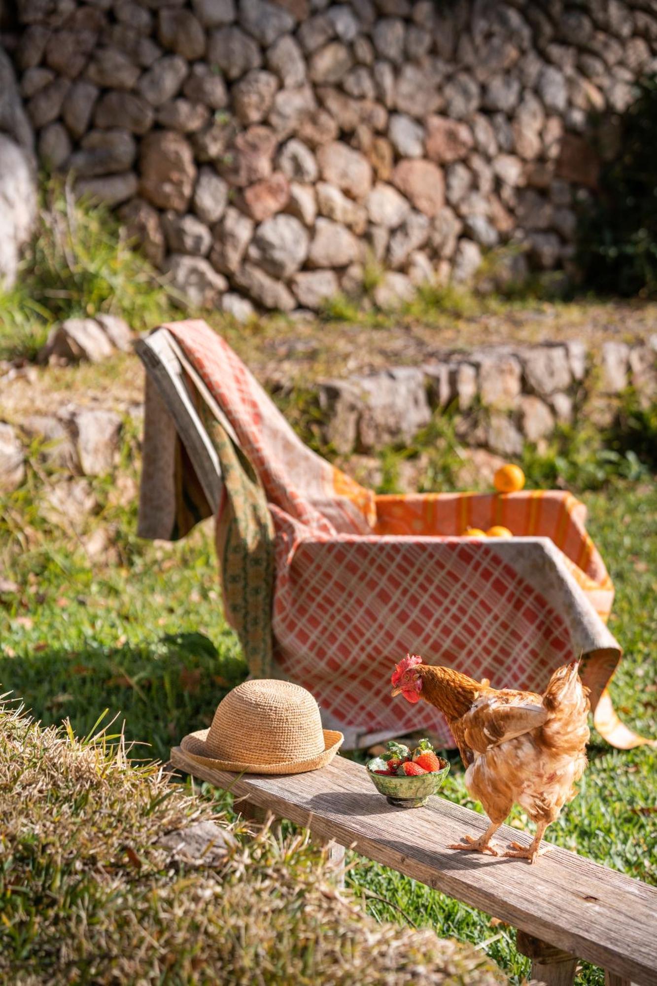 Agroturismo Son Viscos Valldemossa  Bagian luar foto