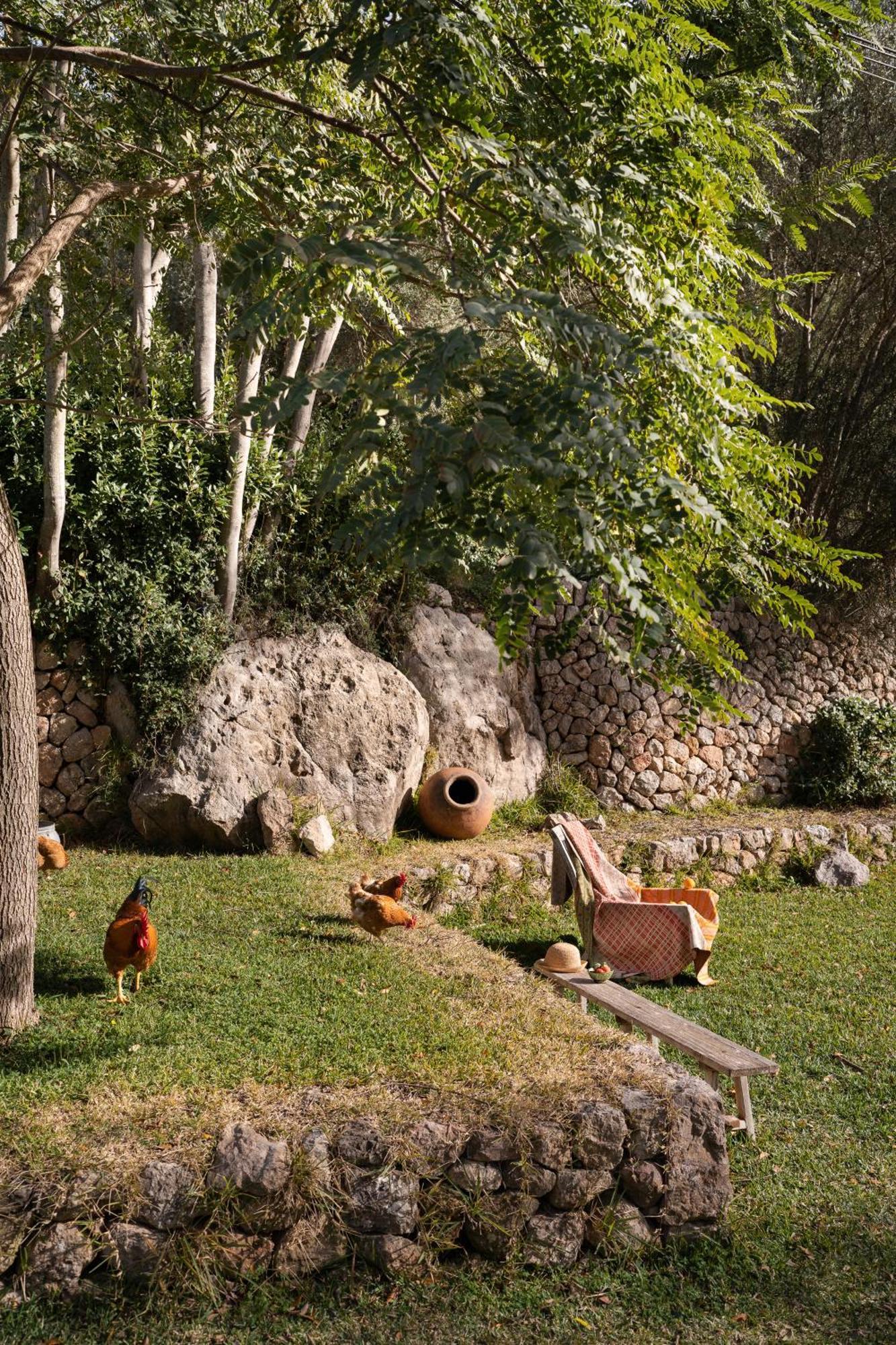 Agroturismo Son Viscos Valldemossa  Bagian luar foto